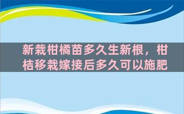 新栽柑橘苗多久生新根，柑桔移栽嫁接后多久可以施肥