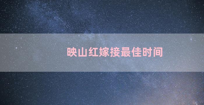 映山红嫁接最佳时间