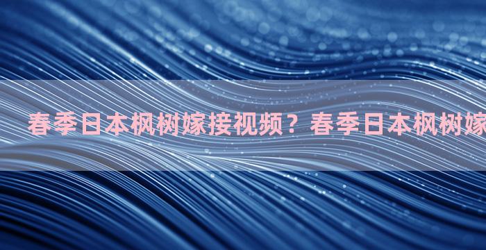 春季日本枫树嫁接视频？春季日本枫树嫁接视频大全