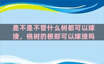 是不是不管什么树都可以嫁接，桃树的根部可以嫁接吗