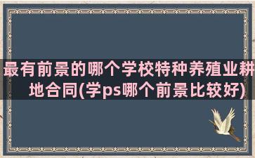 最有前景的哪个学校特种养殖业耕地合同(学ps哪个前景比较好)