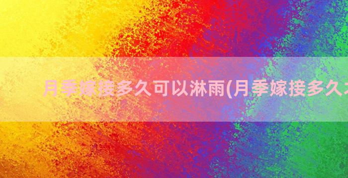 月季嫁接多久可以淋雨(月季嫁接多久才成活)