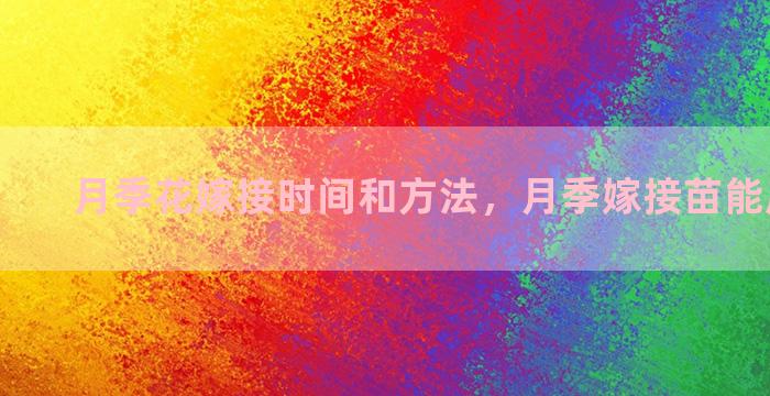 月季花嫁接时间和方法，月季嫁接苗能成活多久