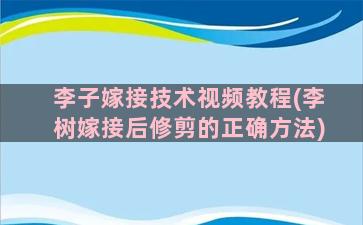 李子嫁接技术视频教程(李树嫁接后修剪的正确方法)