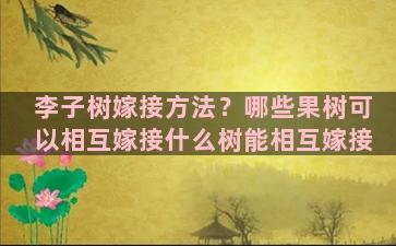 李子树嫁接方法？哪些果树可以相互嫁接什么树能相互嫁接