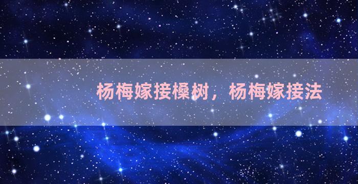 杨梅嫁接槡树，杨梅嫁接法