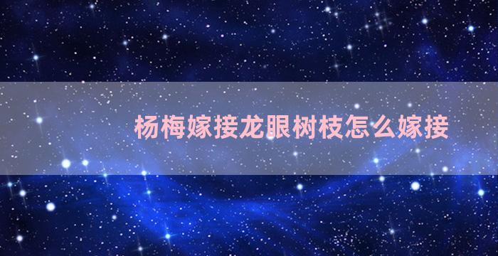 杨梅嫁接龙眼树枝怎么嫁接