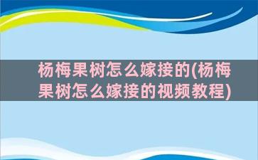 杨梅果树怎么嫁接的(杨梅果树怎么嫁接的视频教程)