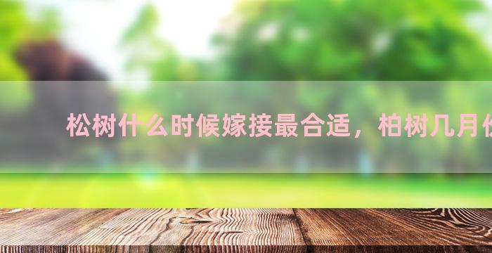 松树什么时候嫁接最合适，柏树几月份嫁接