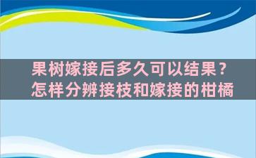 果树嫁接后多久可以结果？怎样分辨接枝和嫁接的柑橘