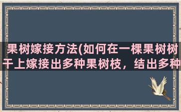 果树嫁接方法(如何在一棵果树树干上嫁接出多种果树枝，结出多种果品来)