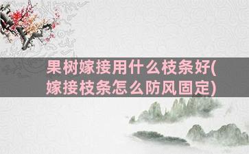 果树嫁接用什么枝条好(嫁接枝条怎么防风固定)