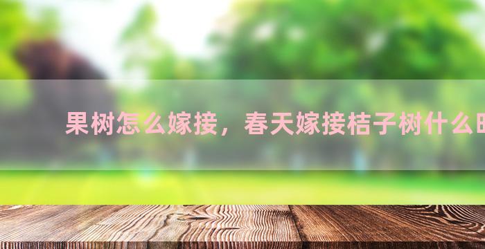 果树怎么嫁接，春天嫁接桔子树什么时候好