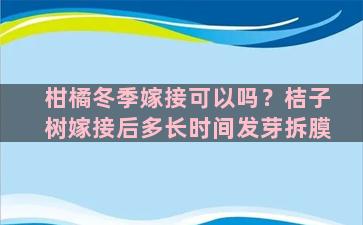 柑橘冬季嫁接可以吗？桔子树嫁接后多长时间发芽拆膜