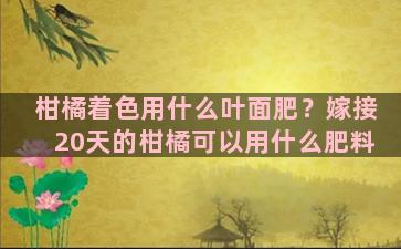 柑橘着色用什么叶面肥？嫁接20天的柑橘可以用什么肥料