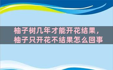 柚子树几年才能开花结果，柚子只开花不结果怎么回事