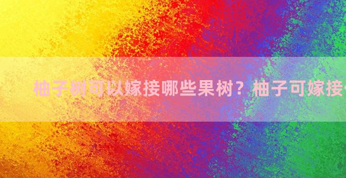 柚子树可以嫁接哪些果树？柚子可嫁接什么水果