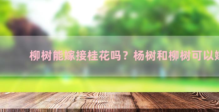 柳树能嫁接桂花吗？杨树和柳树可以嫁接吗