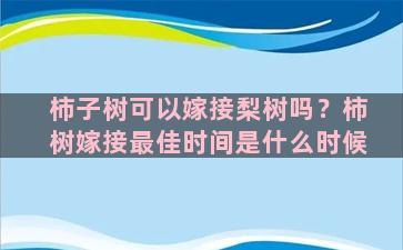 柿子树可以嫁接梨树吗？柿树嫁接最佳时间是什么时候