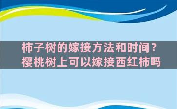 柿子树的嫁接方法和时间？樱桃树上可以嫁接西红柿吗