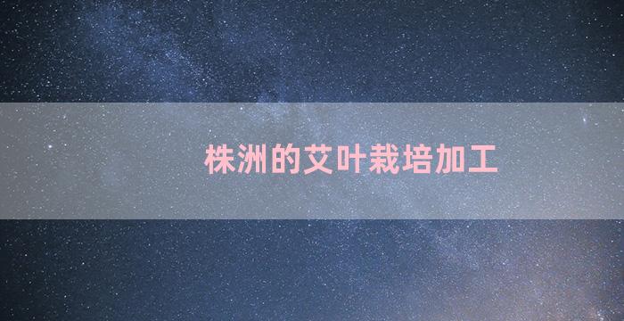 株洲的艾叶栽培加工