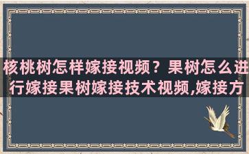 核桃树怎样嫁接视频？果树怎么进行嫁接果树嫁接技术视频,嫁接方法图解