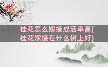 桂花怎么嫁接成活率高(桂花嫁接在什么树上好)