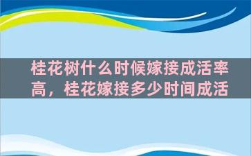 桂花树什么时候嫁接成活率高，桂花嫁接多少时间成活