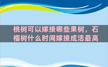 桃树可以嫁接哪些果树，石榴树什么时间嫁接成活最高