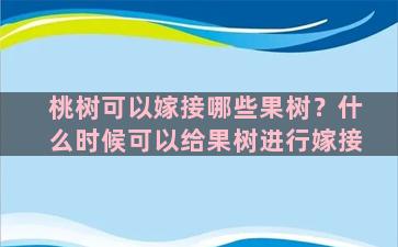 桃树可以嫁接哪些果树？什么时候可以给果树进行嫁接