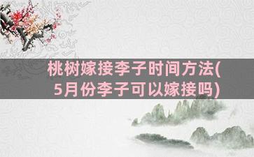 桃树嫁接李子时间方法(5月份李子可以嫁接吗)