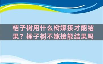 桔子树用什么树嫁接才能结果？橘子树不嫁接能结果吗