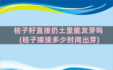 桔子籽直接扔土里能发芽吗(桔子嫁接多少时间出芽)