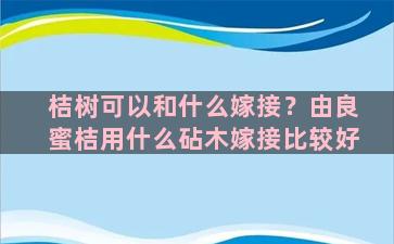 桔树可以和什么嫁接？由良蜜桔用什么砧木嫁接比较好