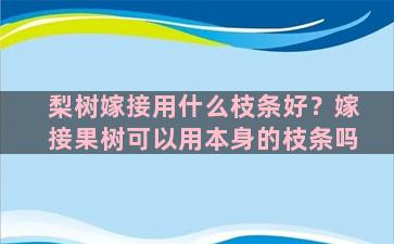 梨树嫁接用什么枝条好？嫁接果树可以用本身的枝条吗