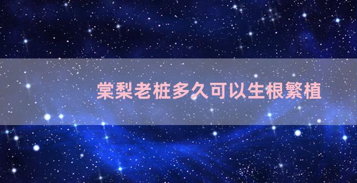 棠梨老桩多久可以生根繁植