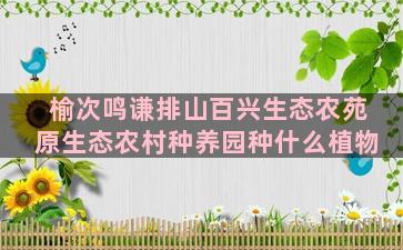 榆次鸣谦排山百兴生态农苑原生态农村种养园种什么植物