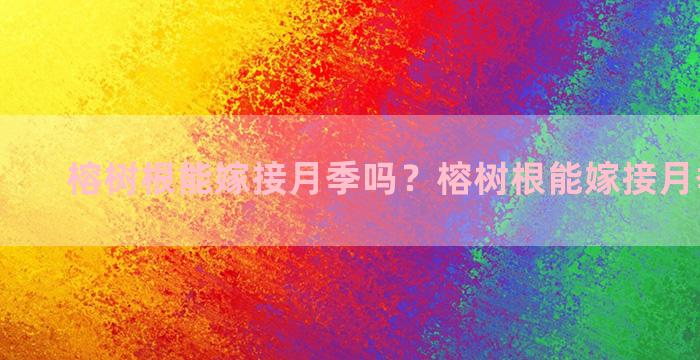 榕树根能嫁接月季吗？榕树根能嫁接月季吗图片