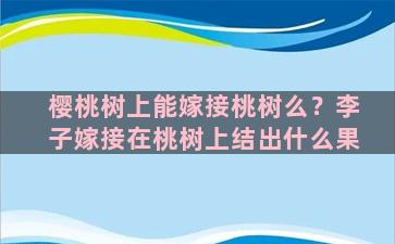 樱桃树上能嫁接桃树么？李子嫁接在桃树上结出什么果