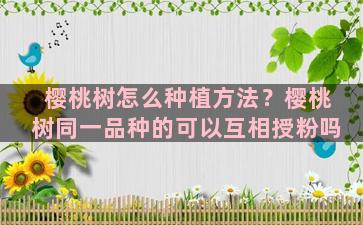 樱桃树怎么种植方法？樱桃树同一品种的可以互相授粉吗