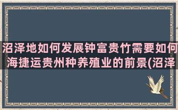 沼泽地如何发展钟富贵竹需要如何海捷运贵州种养殖业的前景(沼泽地适合发展什么)