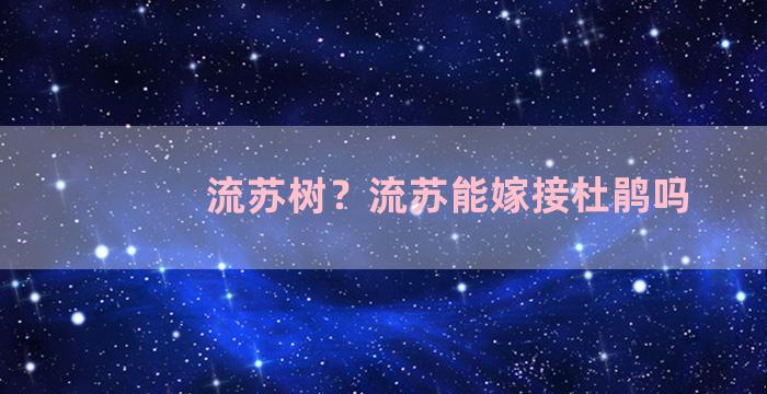 流苏树？流苏能嫁接杜鹃吗