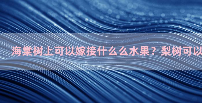 海棠树上可以嫁接什么么水果？梨树可以嫁接海棠吗