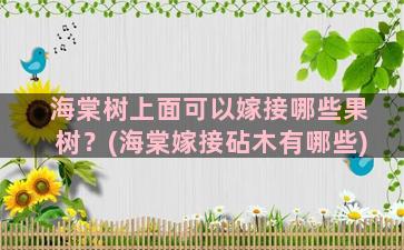 海棠树上面可以嫁接哪些果树？(海棠嫁接砧木有哪些)