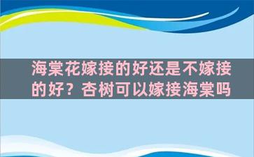 海棠花嫁接的好还是不嫁接的好？杏树可以嫁接海棠吗