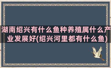 湖南绍兴有什么鱼种养殖属什么产业发展好(绍兴河里都有什么鱼)