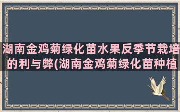 湖南金鸡菊绿化苗水果反季节栽培的利与弊(湖南金鸡菊绿化苗种植)