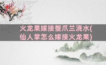 火龙果嫁接蟹爪兰浇水(仙人掌怎么嫁接火龙果)