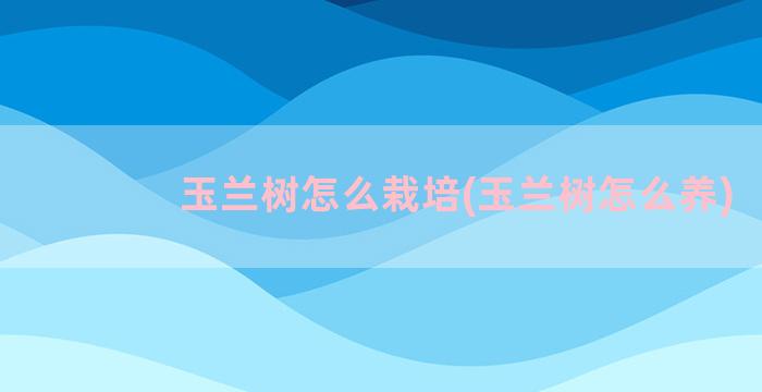 玉兰树怎么栽培(玉兰树怎么养)