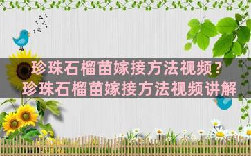 珍珠石榴苗嫁接方法视频？珍珠石榴苗嫁接方法视频讲解